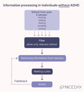 Information processing individuals without ADHD