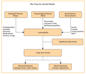 The Biopsychosocial Model
